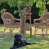Vintage Wicker Garden Set