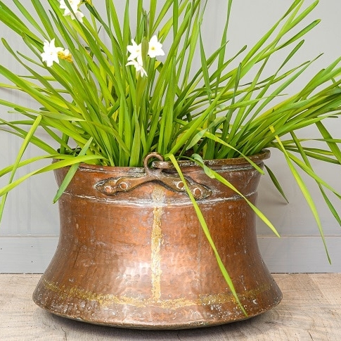 Copper Planter
