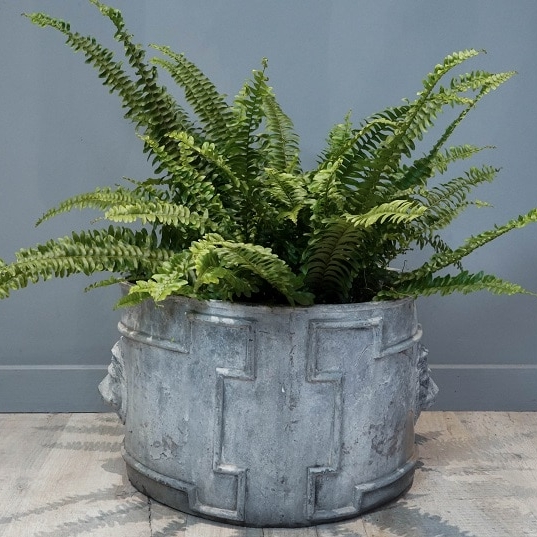 Vintage lead plant pot