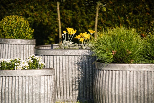 Set of 5 Vintage Galvanized Planters - Image 3