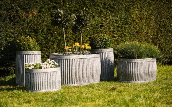 Set of 5 Vintage Galvanized Planters - Image 4