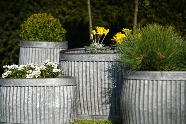 Set of 5 Vintage Galvanized Planters - Image 5