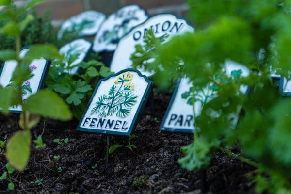 cast iron vegetable and herb signs