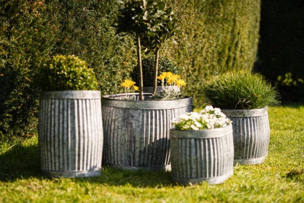 Set of 5 Vintage Galvanized Planters - Image 6