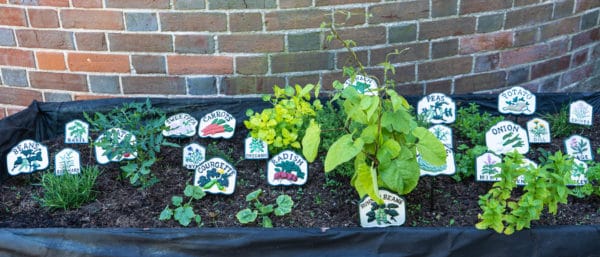 markers for vegetables and herbs