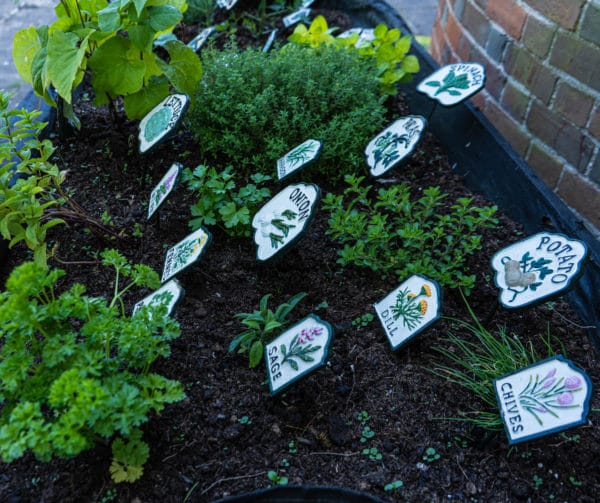 set of cast iron herb and vegetable signs