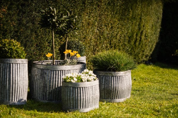 Set of 5 Vintage Galvanized Planters - Image 12