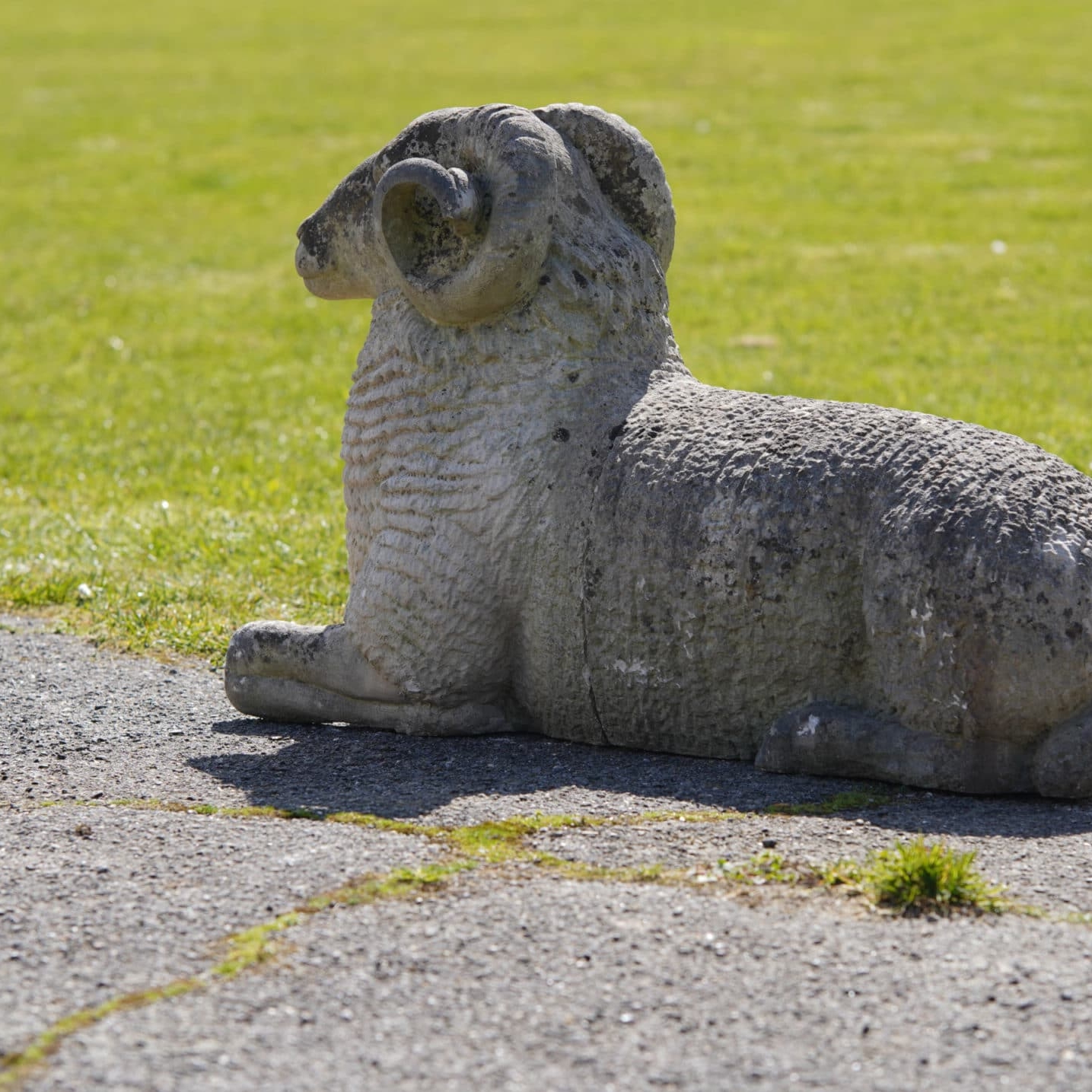 Stone statue of a ram
