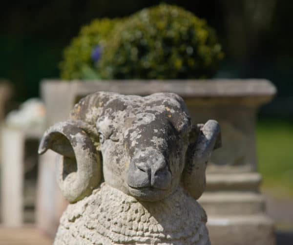 Weathered Welsh Stone Garden Ram