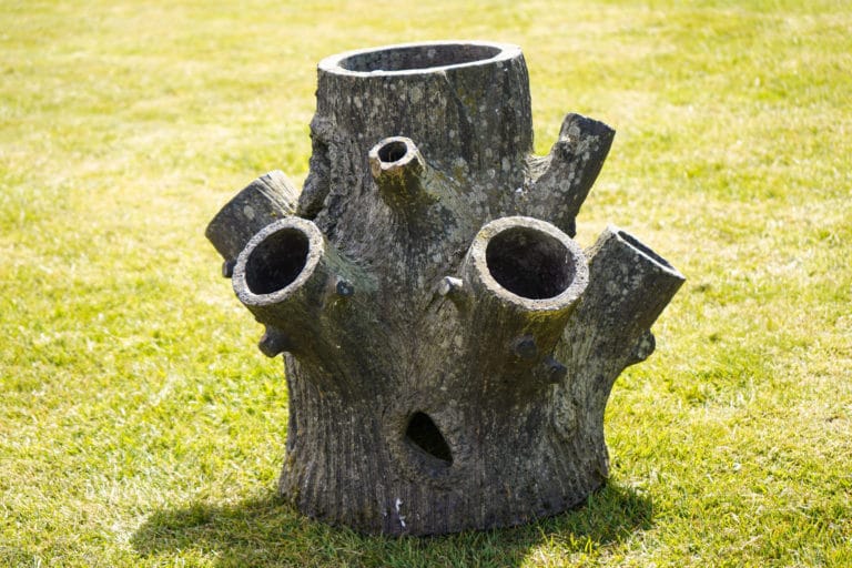 Victorian Large Strawberry Planter DGA by Tina Bird