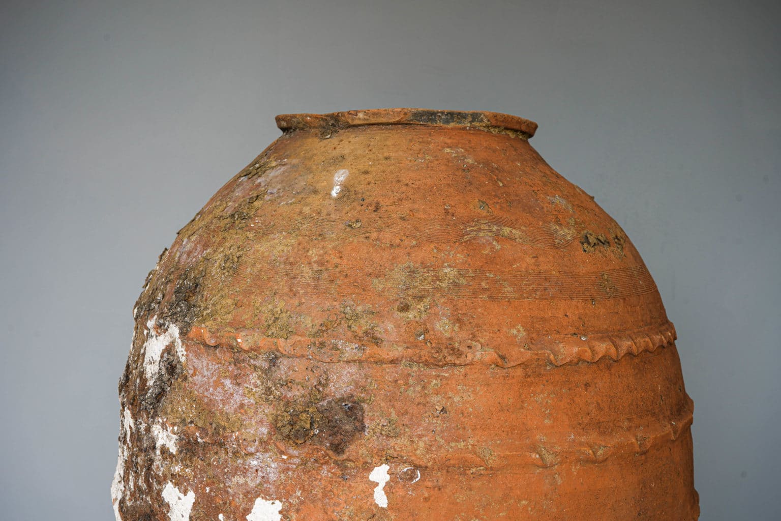 Giant Portuguese Antique Olive jar DGA by Tina Bird