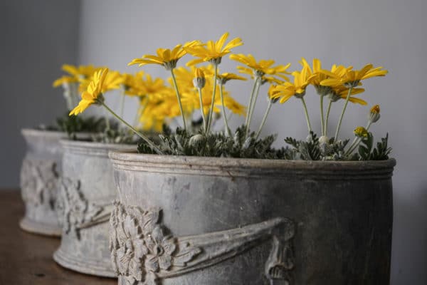 antique lead planters