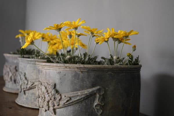 Three Small Vintage Lead Planters - Image 6