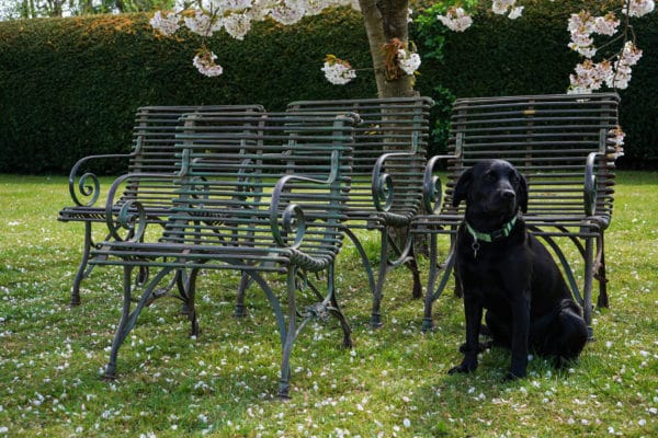 Antique Arras garden chairs