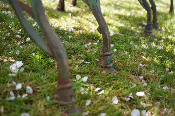 horses hoof feet from Saint Sauveur factory France