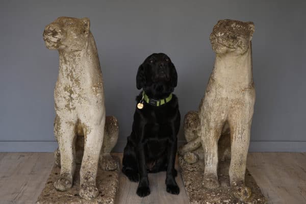 A life size pair of impressive cast stone Garden Leopards - Image 5