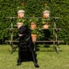 Garden Antique Folding Arras plantstand