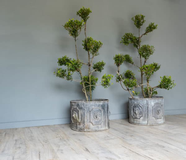 a pair of circular lead planters