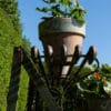 a small folding Arras plant stand for the garden