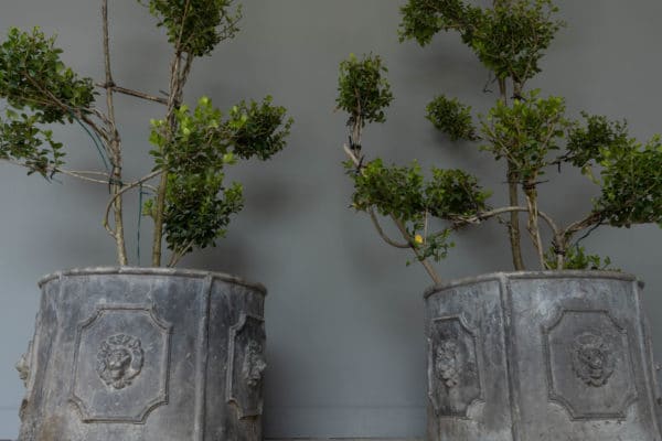 decorative garden antique lead planters