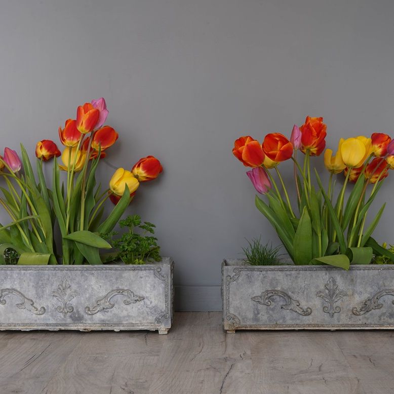 pair of window lead garden plant pots