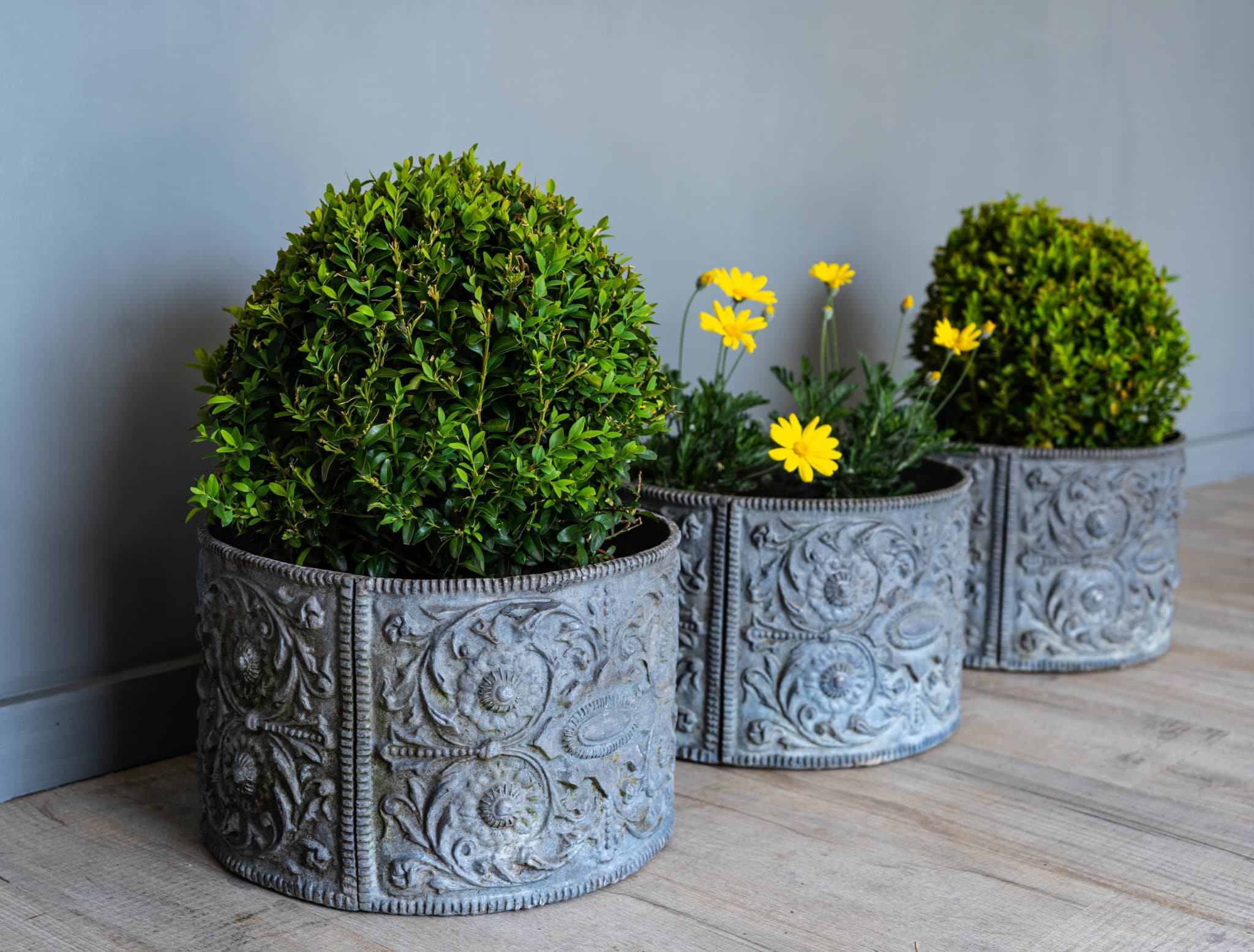 Highly decorative trio of circular lead planters DGA by Tina Bird