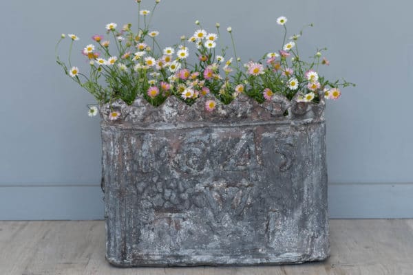 a garden antique lead plant pot