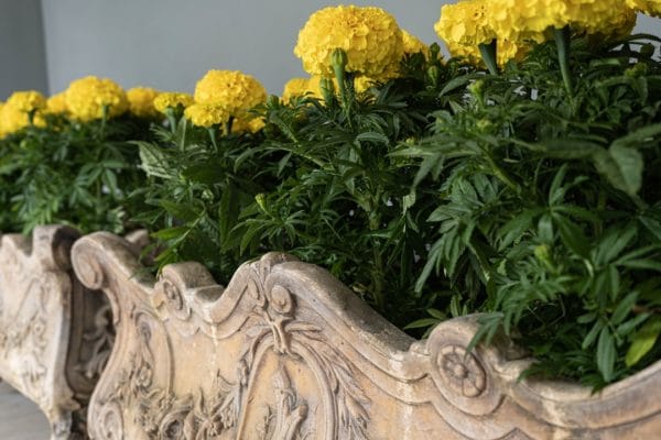 a pair of Val d'Osne garden planters