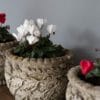 a trio of garden plant pots antique