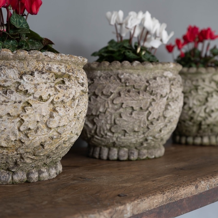 a trio of garden plant pots