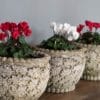 small garden cast stone planters