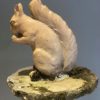 LEFCO garden squirrel in glazed terracotta
