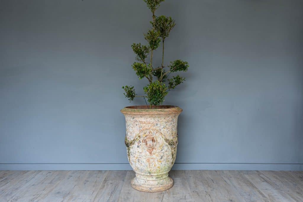 Antique Anduze Vase du Madeleine DGA by Tina Bird