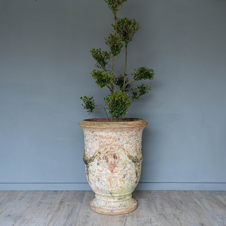 Antique Anduze Vase for the garden
