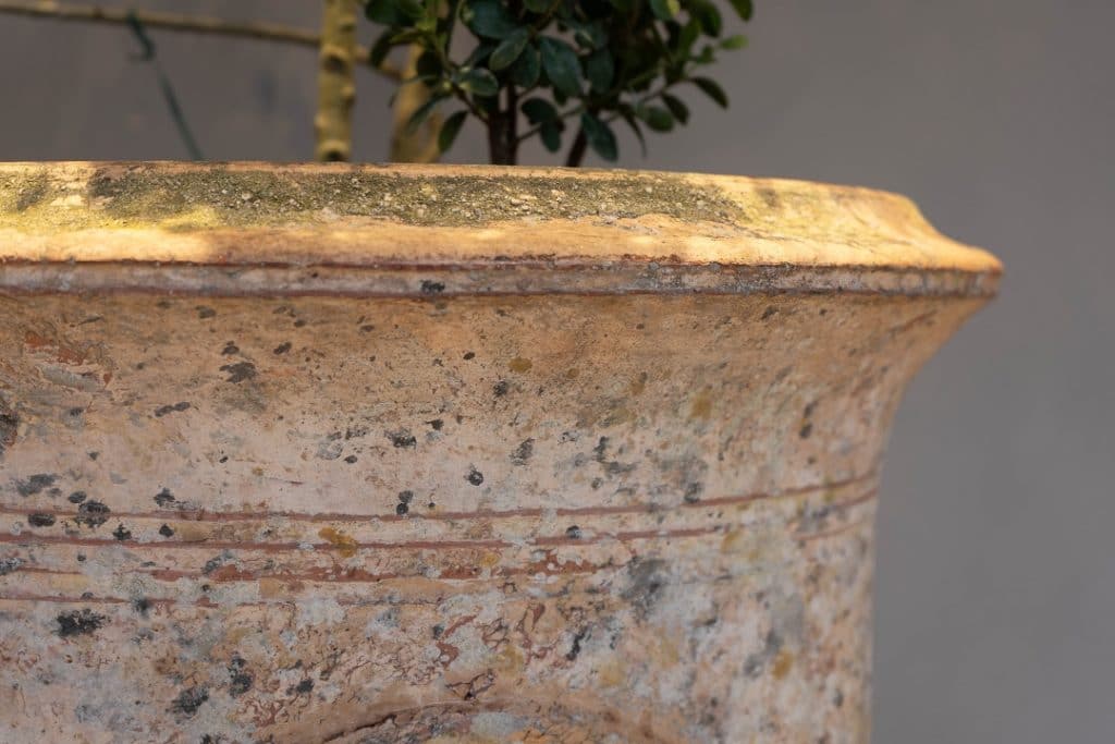 Antique Anduze Vase du Madeleine DGA by Tina Bird