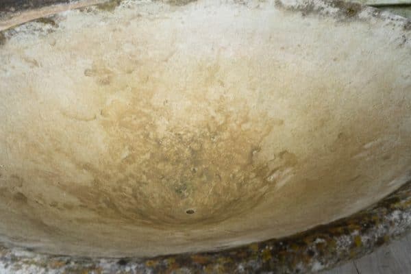 interior of a Willy Guhl planter