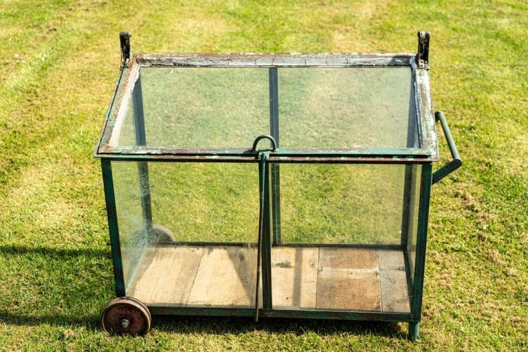 Mini Vintage Greenhouse on Wheels DGA by Tina Bird