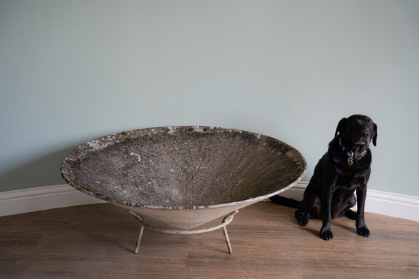 Huge statement Willy Guhl circular planter on iron support - Image 7