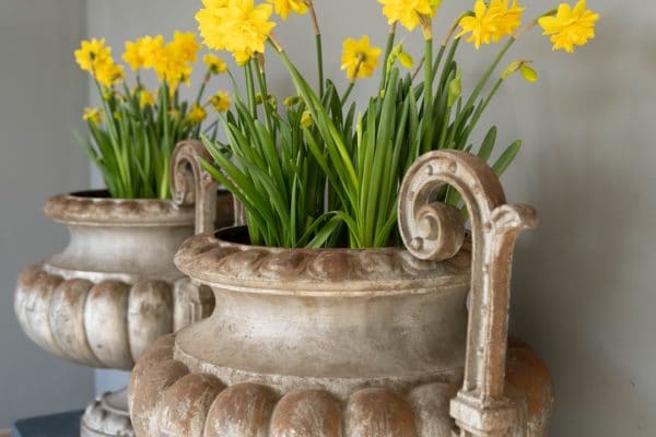 a pair of cast iron urns for sale