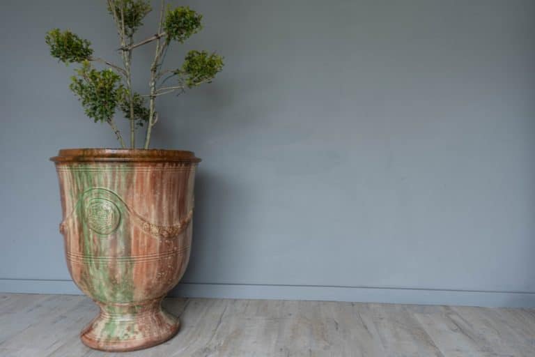 Large French Glazed Boisset Anduze Vase DGA by Tina Bird