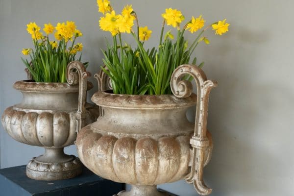 an antique pair of cast iron urns