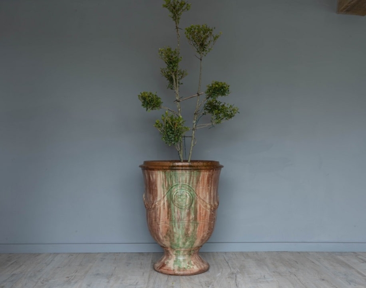 Large French Glazed Boisset Anduze Vase DGA by Tina Bird