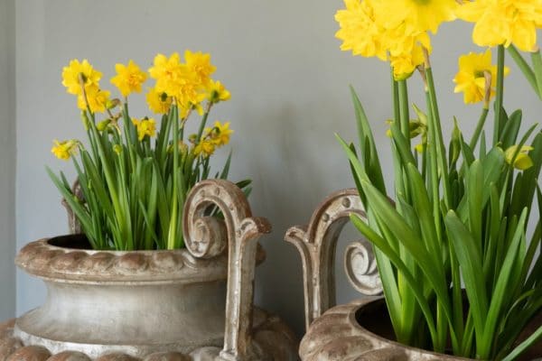 antique cast iron urns