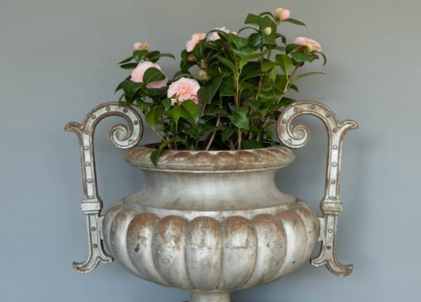 cast iron urn for the house