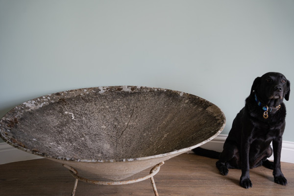 huge Willy Guhl circular garden planter