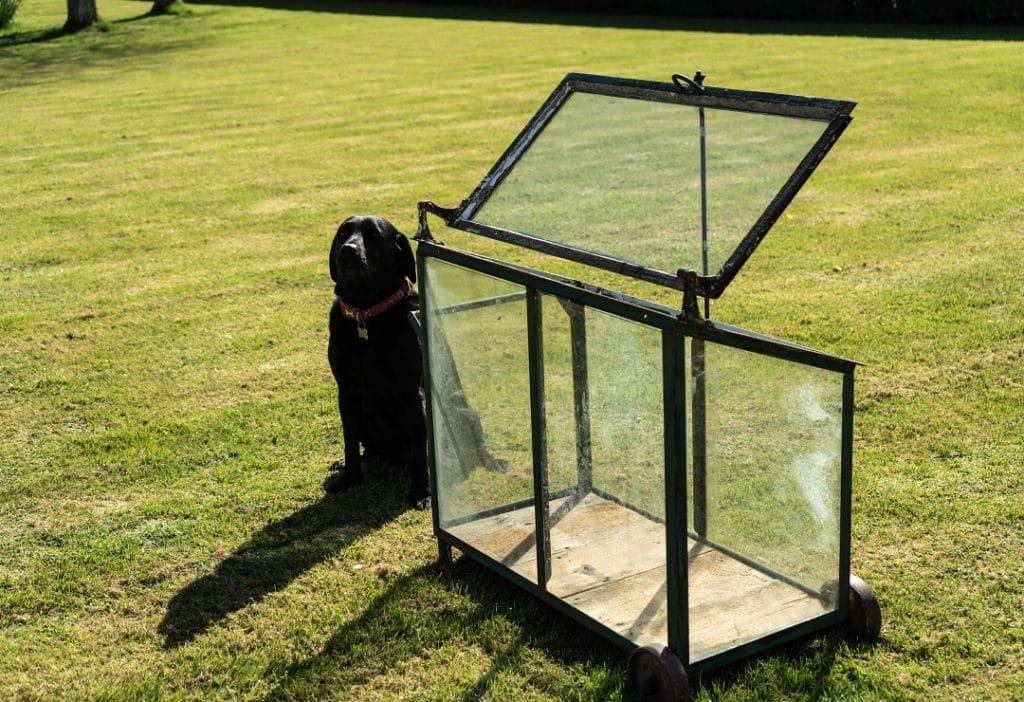 Mini Vintage Greenhouse on Wheels DGA by Tina Bird