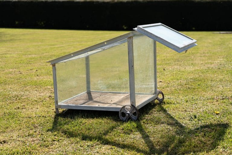 Mini Vintage Greenhouse/Cloche on Wheels White DGA by Tina Bird