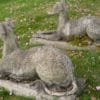 a pair of cast stone garden antique hounds