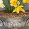 garden urn for sale antique