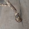 horses hoof feet of Arras furniture